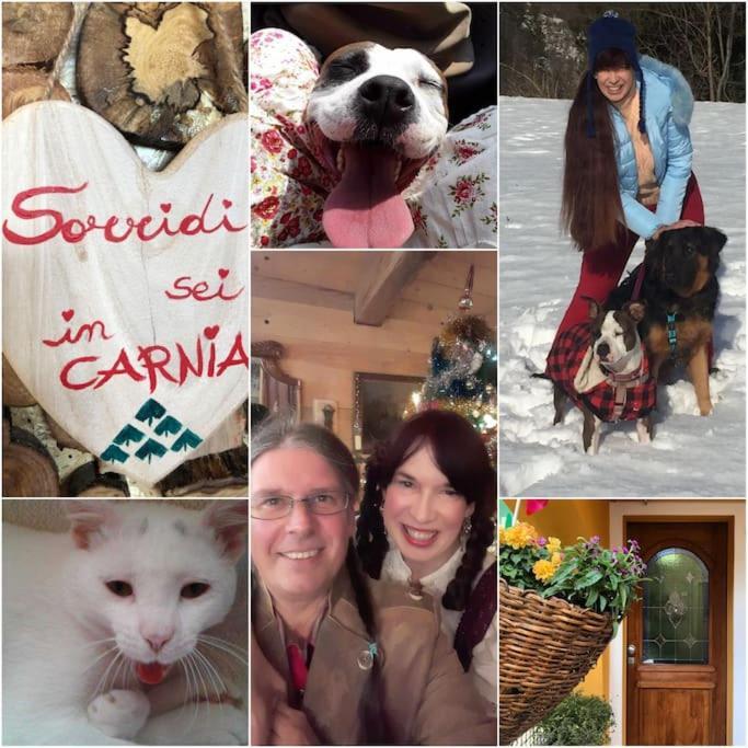 Holiday Guesthouse La Casina Di Butzi Pet Friendly - Terme Di Arta - Zoncolan Arta Terme Eksteriør bilde