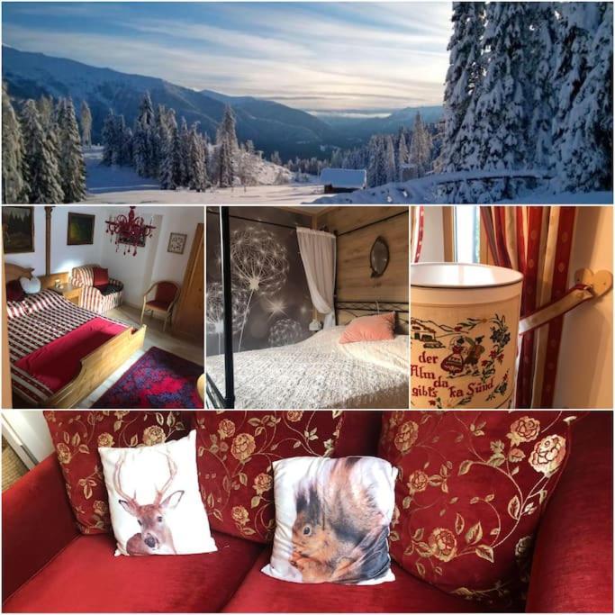 Holiday Guesthouse La Casina Di Butzi Pet Friendly - Terme Di Arta - Zoncolan Arta Terme Eksteriør bilde
