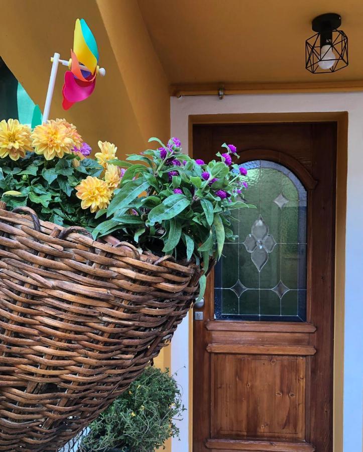 Holiday Guesthouse La Casina Di Butzi Pet Friendly - Terme Di Arta - Zoncolan Arta Terme Eksteriør bilde