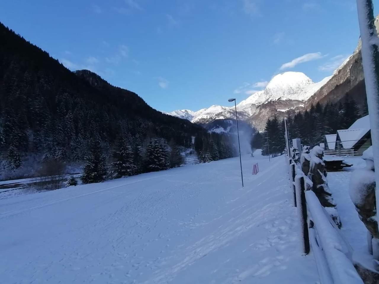 Holiday Guesthouse La Casina Di Butzi Pet Friendly - Terme Di Arta - Zoncolan Arta Terme Eksteriør bilde